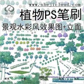 【6833】知名景观公司水彩风效果图合集+40只立面植物ps笔刷