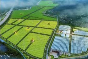 [广西]现代农业观光示范区景观规划设计方案