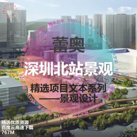 T2171蕾奥深圳北站商务中心区城市绿谷规划设计国际咨询