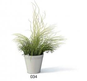 小型装饰植物 3Dmax模型. (34)