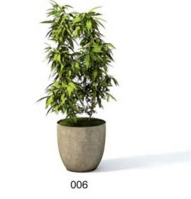 小型装饰植物 3Dmax模型. (6)