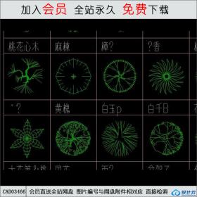 各种景观树CAD