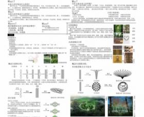 未来人居环境畅想