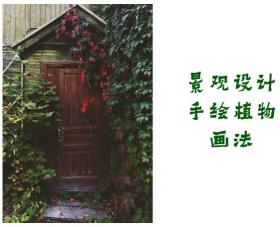 景观设计手绘植物画法