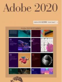 【12】Adobe 2020全家桶系列