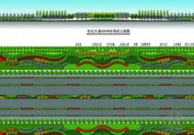 [盐城]某区域道路标准段绿化设计方案