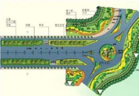 [甘肃]某市道路第一标准段绿化配置方案