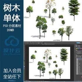 PS00011常用树木单体效果图后期背景psd分层素材可编辑