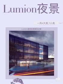 【416】Lumion通用夜景模型合集