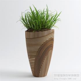 办公酒店植物3Dmax模型 (7)