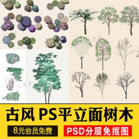 0566古风植物彩平园林景观复古小清新平面立面树木psd分层...