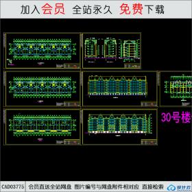 CAD03775住宅楼设计CAD