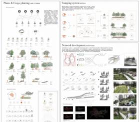 From Inelastic To Resilient - vanish of water origin从脆弱到强韧 - 消...