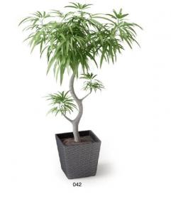 盆栽植物3Dmax模型 (42)