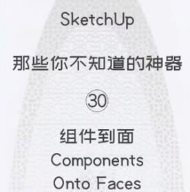 第30期-组件到面【Sketchup 黑科技】
