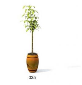 小型装饰植物 3Dmax模型. (35)