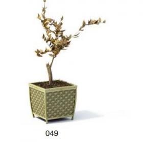 小型装饰植物 3Dmax模型. (49)