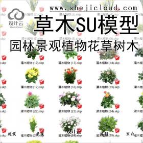 【0184】园林景观植物SU模型花草树木乔木花卉灌木SU