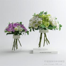 桌面花卉3Dmax模型 (20)
