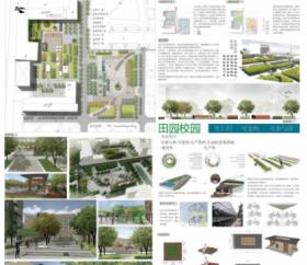 可变的,可参与的田园校园景观---德州学院校园景观设计