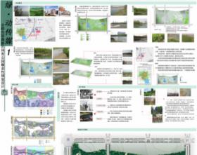 合肥市滨湖新区体育公园概念性规划设计