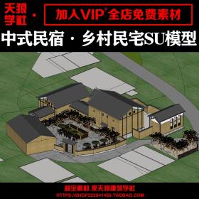 T1800中式建筑自建房新农村乡村民宿房屋住宅su模型草图大...