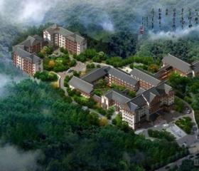 [湖南]新中式风格医院规划及单体建筑设计方案文本（含多...