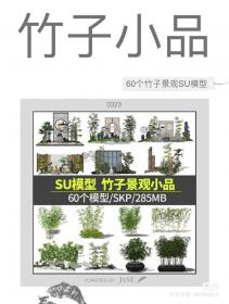 【636】中式日式庭院景观竹子SU模型花园植物