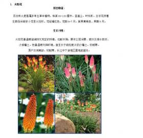景观花镜植物（共47页）