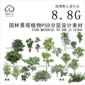 R706-园林景观植物PSD分层设计素材