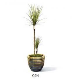小型装饰植物 3Dmax模型. (24)