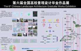 渐变与演化