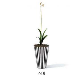 小型装饰植物 3Dmax模型. (18)