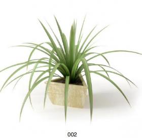 盆栽植物3Dmax模型 (2)