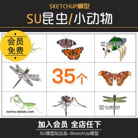 T847小动物害昆虫蝴蝶蜻蜓螳螂蜘蛛蜘蛛苍蝇蝎子蚂蚁SU模...