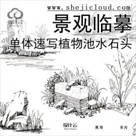 【0302】超全景观单体手绘速写线稿临摹合集植物树池水石头