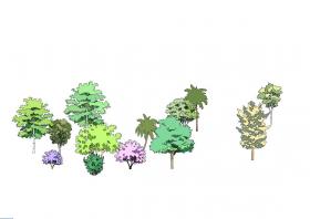 手绘植物 (113)