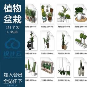 DB03129SU场景模型组件3d模型室内设计素材植物盆栽精品模型