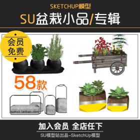 T853室内客厅盆栽盆景绿色植物花园花盆花瓶小品装饰品SU...