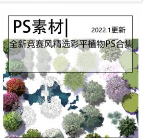 全新竞赛风精选彩色平面图植物PSD合集建筑景观高端竞赛...