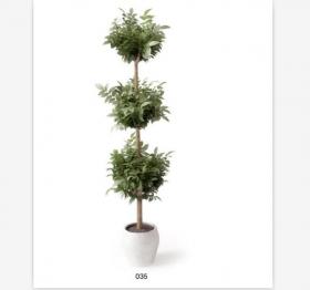盆栽植物3Dmax模型 (35)