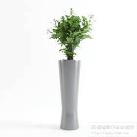 办公酒店植物3Dmax模型 (8)