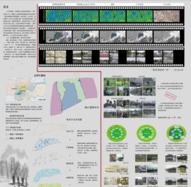 湿地本位——湿地居住方案