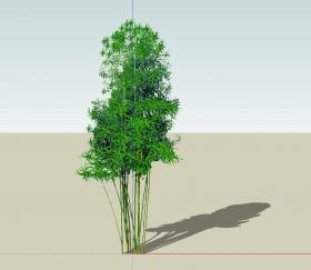 SU常用植物模型 (11)