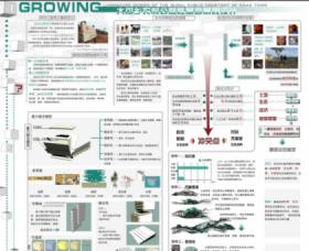 GROWING——大可乡农村公益性墓地景观设计