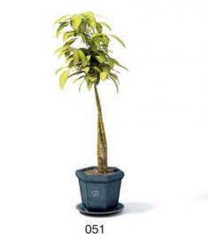 小型装饰植物 3Dmax模型. (51)