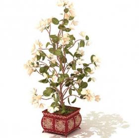 室内盆栽植物3Dmax模型 (42)