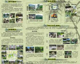 生气“枯山水”——百色雅长林场办公楼庭院设计