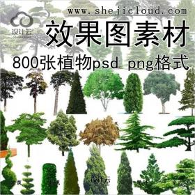【0158】800张+后期植物素材psd文件png格式ps效果图制作素材
