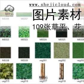 【7004】109张草平，花图片素材